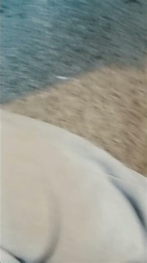 Styracosaurus sounds for JW5 film