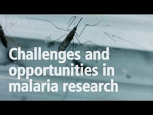 Challenges and opportunities in malaria research