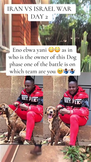 Top Ten Dog Controversies on TikTok