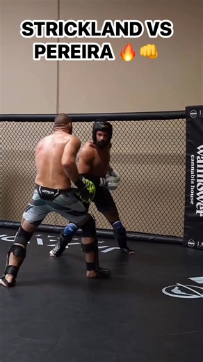 Sean Strickland via IG: “Weekly bar room brawl. Over 50 punches thrown 0 landed.” 😆 | MMA Uncensored PLUS