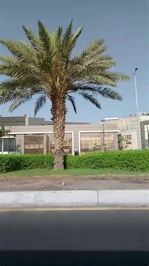 Live in Jeddah Saudi Arabia