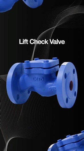 Cari check valve yang kuat & aman?Lift check valve ini pakai PN16 flange, seat SS304 dan tahan panas