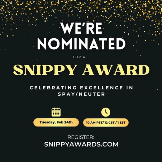 Critters Without Litters on Instagram: "Oops, we did it again! We have been nominated for another Snippy Award, this time in the category "Most Microchips Placed". We love microchipping pets so they have their very best chence at getting home, should they become separated from their family, and we're thrilled that our effort has been noticed. #spayneuter #microchips #clinichq #snippyawards #supportnonprofits #donate"
