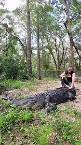 66K views · 2.2K reactions | Sensitivity training with with Dino!...