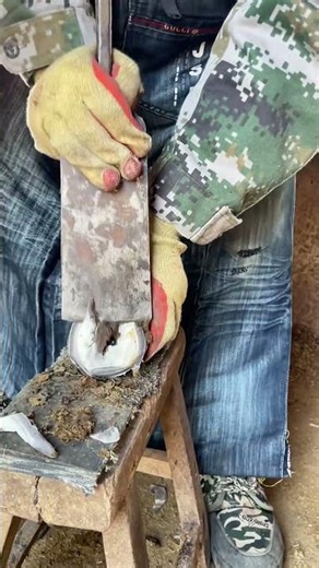 A craftsman trims a donkey's hooves with clean, efficient technique like slicing potatoes.