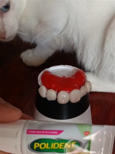 Polident Denture adhesive cream #dentures #polident #pustiso #dental #seo