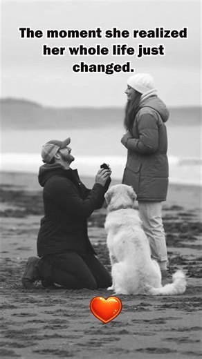 Dog Goes CRAZY During Beach Proposal — Golden Retriever Reaction Will Make You Cry 😭🐾