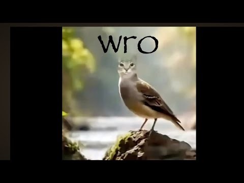 Cool glitch in BABFT but modded