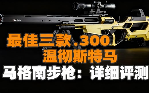 [中配]最佳三款.300温彻斯特马格南步枪：详细评测 - Survival Gear