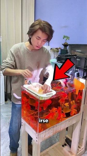 The Sponge Fell Into The Fish Tank... And The Water Changed Color