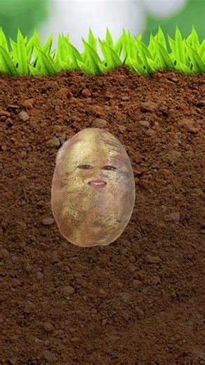 #morganedits #alevels #school #rh6 #sixthform #rugbyhighschool #potatotiktok
