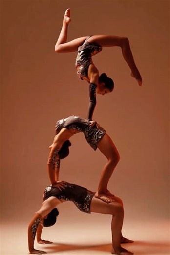 Behind the beauty is unremitting efforts.#ballet #photography #fyp #usa #balletphotography #art #viral