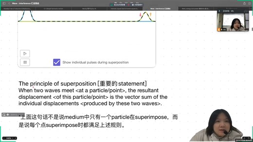 IB 物理 C.3 Wave phenomena - 1 - Superposition & Interference