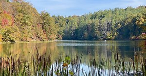Explore Greenbo Lake State Resort Park
