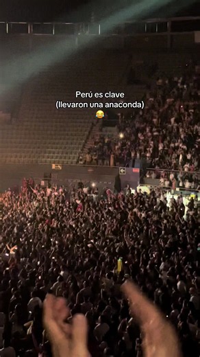 Grupo 5 en Madrid: llevaron una anaconda al concierto