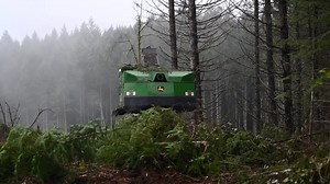 Tree Harvester in Action: Forestry Machine Operations