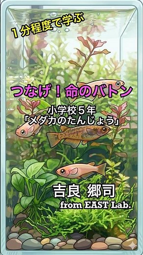 ５年理科「メダカのたんじょう」