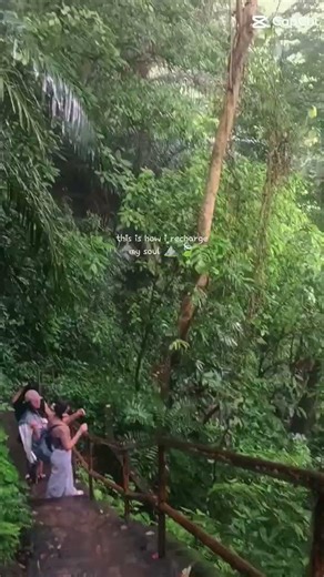 #pypy #viralvideo #tutorial #highlights ..