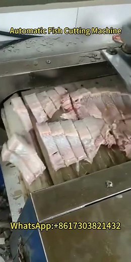 Automatic Fish Cutting Machine in Action: High-Speed Filleting & Slicing