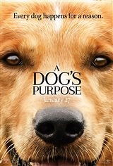 A Dog's Purpose synopsis and movie info