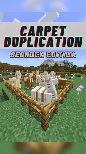 Minecraft Bedrock Edition Carpet Duplication Glitch 1.19 Tutorial!