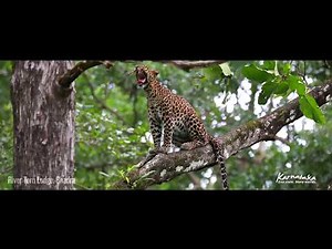 Bhadra Wildlife Sanctuary- Karnataka Tourism