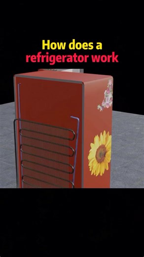 How does a refrigerator work #knowledge #science