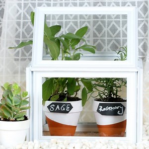 642K views · 4.2K reactions | Build your own greenhouse from dollar-store picture frames  | Tasty Home | Facebook