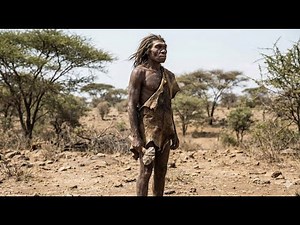 Die ersten Schritte der Menschheit – Leben in der Urzeit