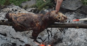Skunk Deadfall: Is He Really Going to Cook and Eat That Stinking Thing?!