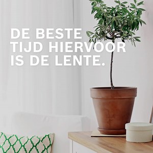 2.6K views · 71 reactions | Wist je dat het op het idyllische eiland...