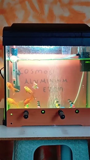 ωραίο ενυδρείο με τα ψάρια