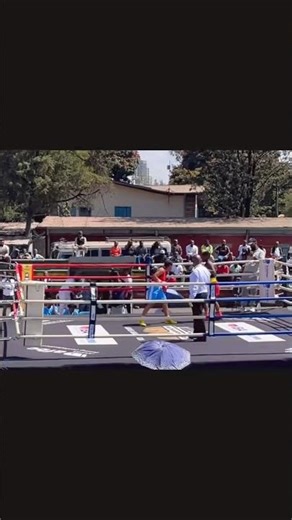ethiopian woman boxing history the first knockout