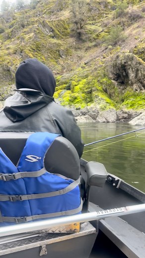 2.8K views · 770 reactions | Winter steelhead up next , December -...