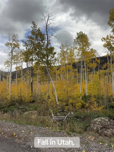 Exploring Fall Colors at Fishlake National Forest in Utah