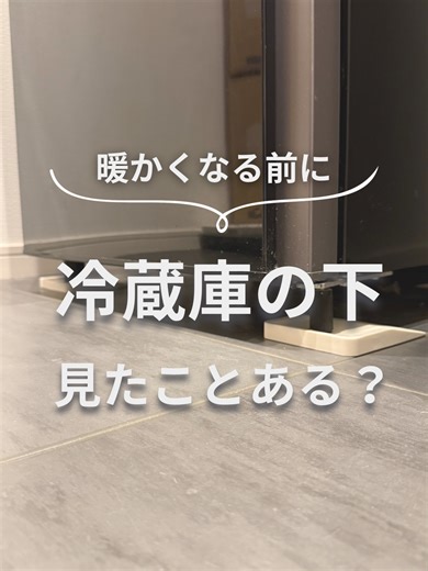 保冷剤＋ハッカ油で虫よけ めんつゆトラップでコバエ対策 …正直これ、もうみんな知ってるよね？ でもさ… 冷蔵庫の下が“害虫の楽園”って知ってた？😱 暗い・湿気・ホコリ 害虫が大好きな環境がそろってる。 そこで「あしあげ隊」✨ なんとアース製薬のムシブロック効果つき！ ✔ 置くだけで害虫対策 ✔ 床とのすき間ができて掃除ラク ✔ 地震対策にも◎ 春になる前に仕込んでおこう🫶 楽天市場・Amazonで 「あしあげ隊」で検索してね🔍 p.s. ヨドバシカメラでも売ってたよ〜🛒 #あしあげ隊 #害虫対策 #春 #家事ラク #簡単掃除 #週一掃除 #時短掃除 #暮らしのアイデア #マンション暮し
