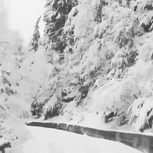 White Christmas ❄❄ CHECK OUR NEW CHRISTMAS STORE AND BUY YOUR FIRST PRESENT (Home Alone, Griswolds,...) 🎅🎄 HERE: https://www.teezily.com/stores/christmasmovies | Christmas Movies