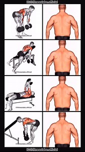 63K views · 2.8K reactions | ✅ Dumbbell Back Workout ① Reverse Grip Bent Over Row ② Incline Row ③ Pullover ④ Head Support Bent Over Row 3 sets 12-15 reps #fitness #gym #exercise #workout #workoutroutine #exercisetips #fitnesstips #bodybuilding #backworkout | Fitnesslabo | Facebook