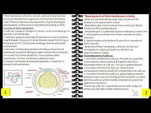 05. Veterinary anatomy General Embryology lecture 5 Foetal Membranes