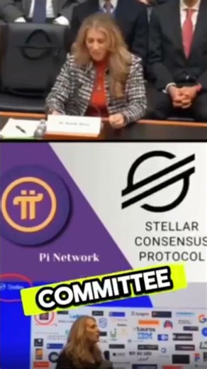 CEO Steller Pi Network #Blockchain #pi #gcv #web3
