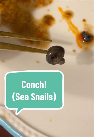 Conch! (Sea Snails). They’re a spicy flavour explosion. I highly recommend these. We got this snack from the Oriental Supermarket in Nottingham. #tinnedfish #tinnedfishreview #cannedfish #snails
