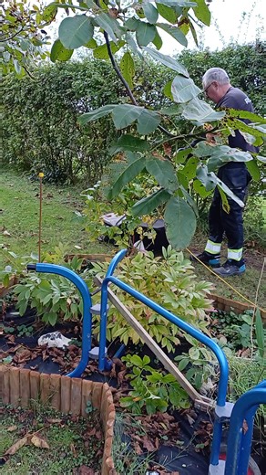 8.6K views · 21 reactions | ทำงาน #reelsviral #sonlove #winter #wintervibes #travel #recipes #lokale #virksomheder | Netphit Somsaard | Facebook