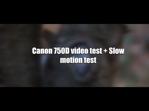 Canon 750D with 50mm f1.8 Video test + Slow motion test