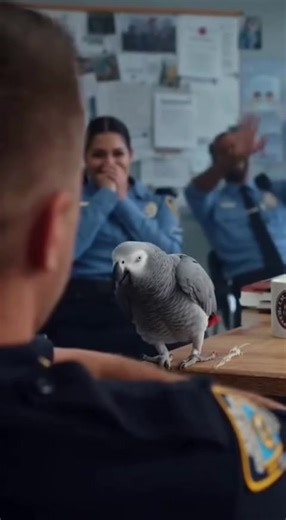 rio filrting | RIO TALK BACK