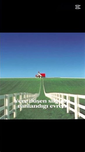 @YouTube #blackpink #snowdrop #kpop #parkhyesoo #keşfetbeniöneçıkar