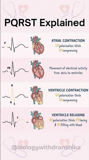 Understanding PQRST:🫀beat—P for atrial contraction, QRS for ventricular action, and T for recovery.