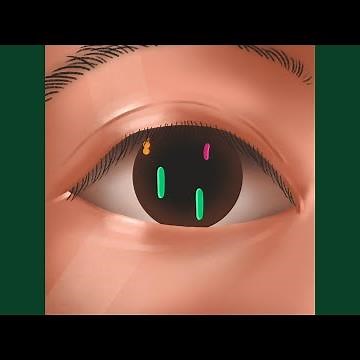 hello em có khỏe không