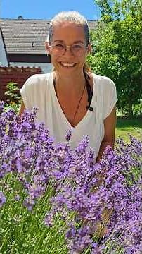 Lavender + Lavender Cake Recipe