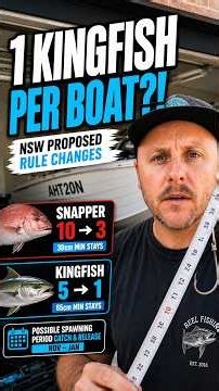 1 Kingfish Per Boat?! NSW’s Proposed Fishing Rule Changes