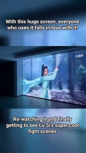 Re-watching it and finally getting to see Lu Si's super cool fight scenes